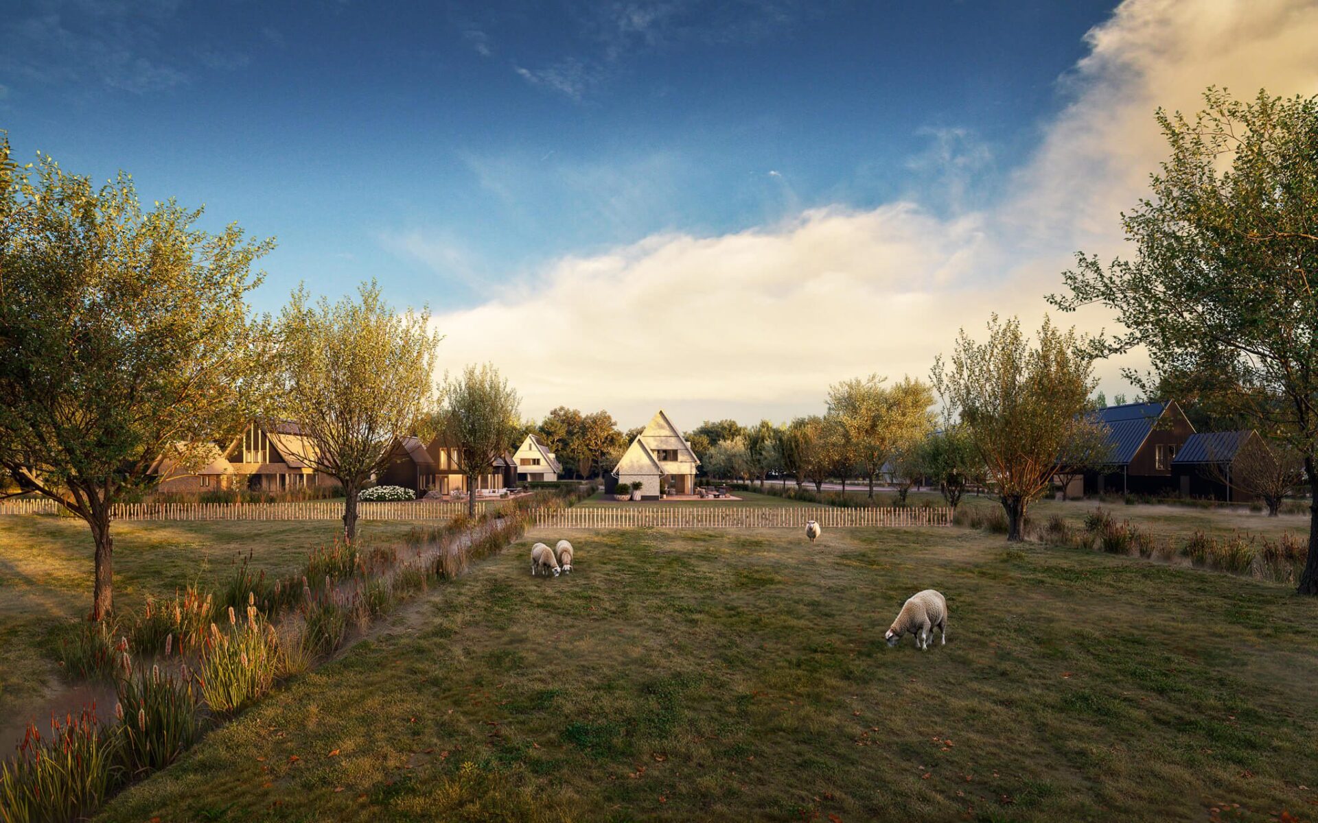 Bosrijke omgeving rondom De Hoeven in 's Gravenmoer