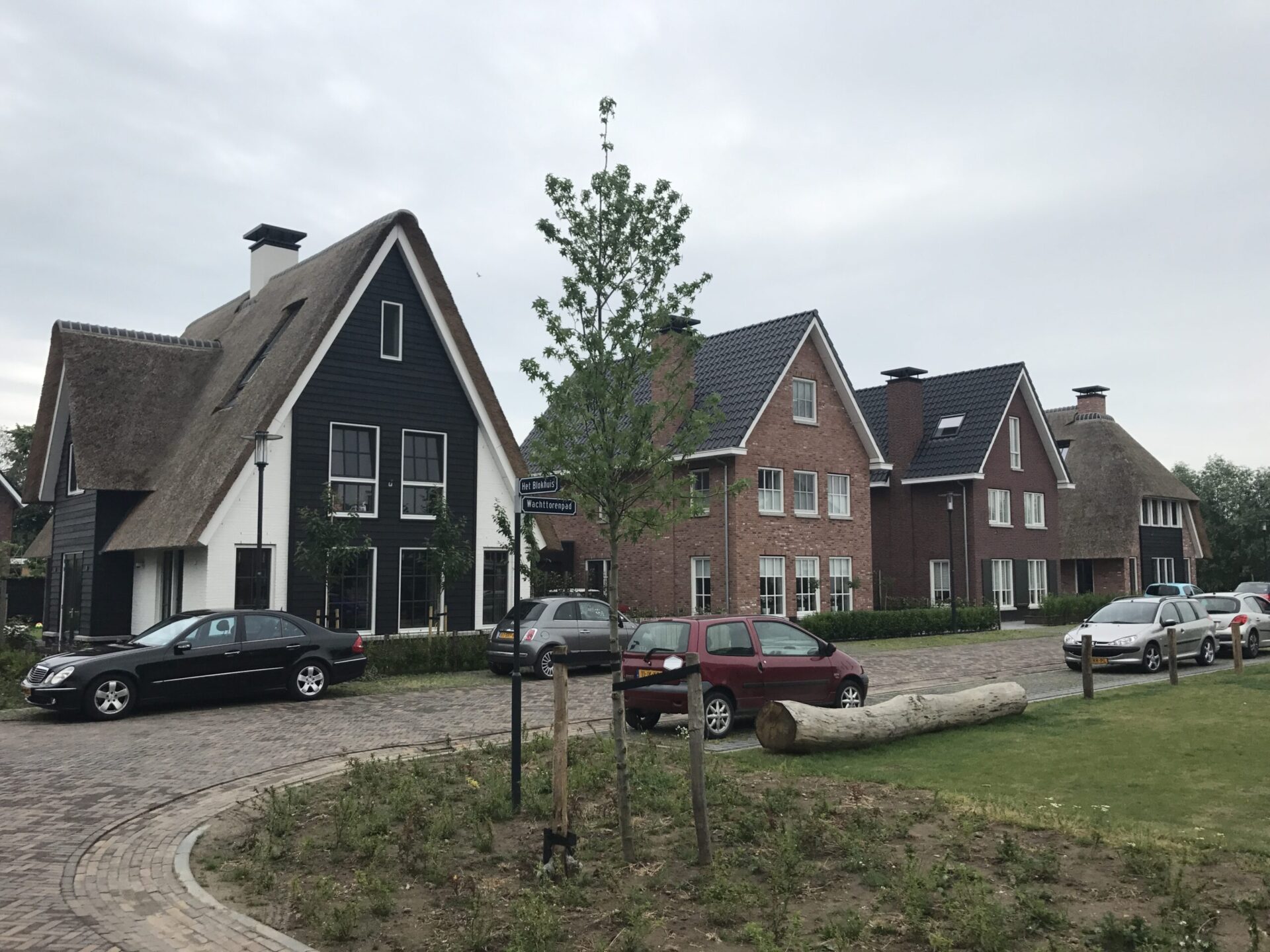 BPD Ontwikkeling Hoef en Haag