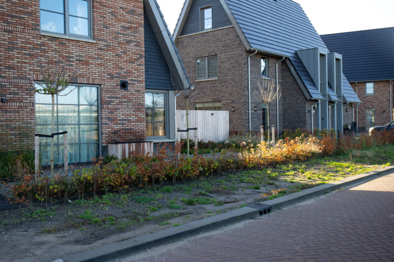 Buitenplaats-Rijnweijde-door-EVE-Architecten-3-scaled