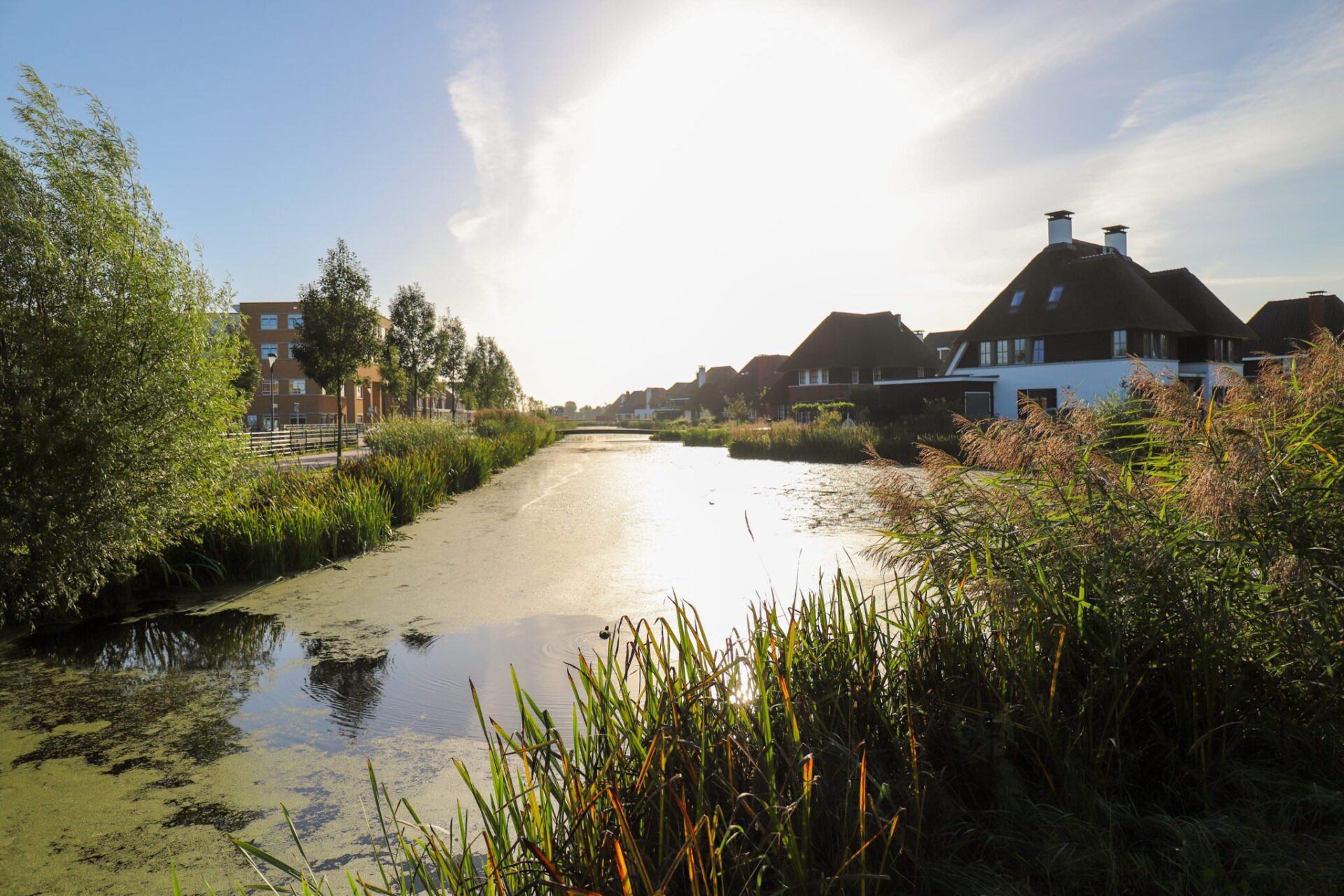 De-Gulden-Meesters-Thienland-Schoonhoven-01-scaled
