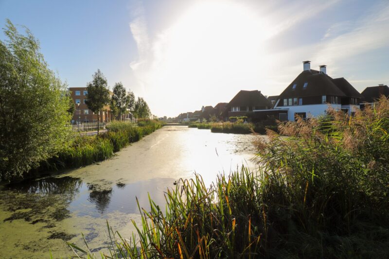 De-Gulden-Meesters-Thienland-Schoonhoven-01-scaled