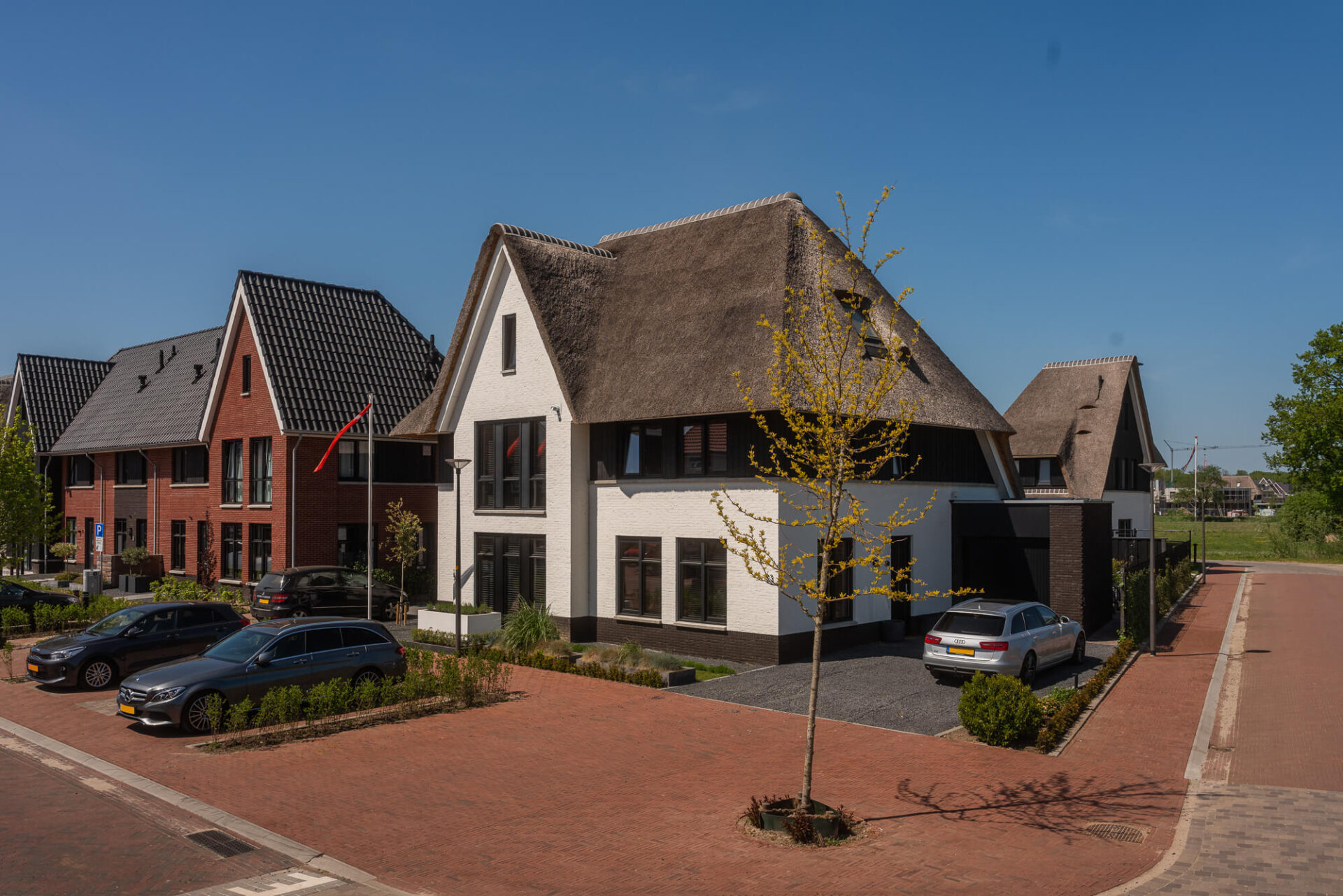 Zijaanzicht rietgedekte woning Nieuw Boorn