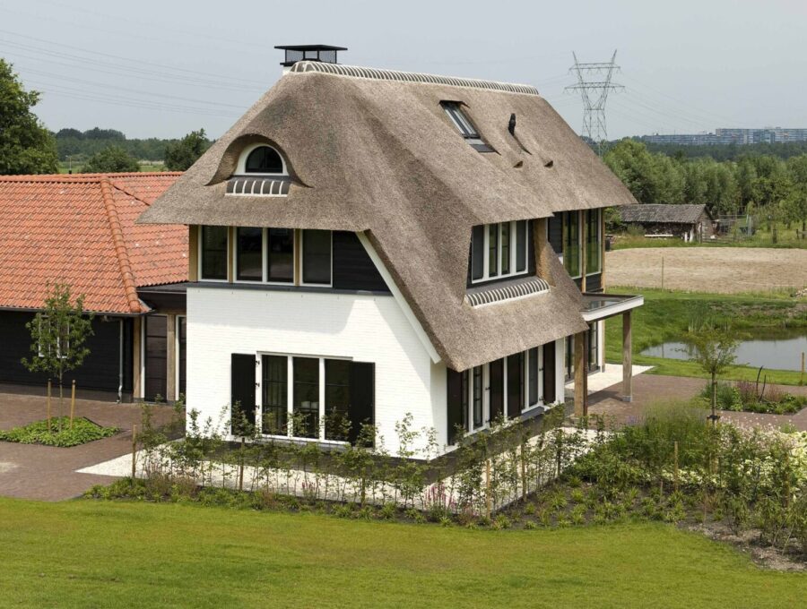 Liefhebbers van paarden