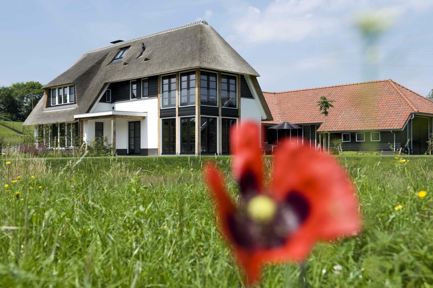 Luxe villa met paardenstallen 5