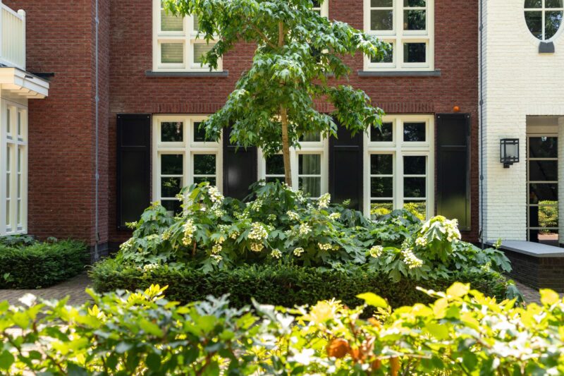 Lyceumstaete ontworpen door EVE Architecten