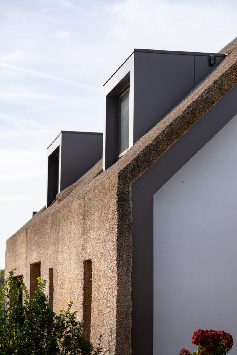 Rietgedekte schuurwoning ontworpen door EVE Architecten - Detail